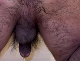 Anus